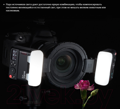 Комплект осветителей студийных Godox MF12-K2 для макросъемки / 28676