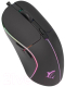 Миниатюра изображения товара Мышь White Shark GM-5010 Warlock RGB (черный)