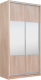 Миниатюра изображения товара Шкаф-купе Рэйгрупп 158 TTX Elgon РГ-10.01 (дуб торонто/хром)