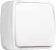 Миниатюра изображения товара Выключатель EKF Basic Минск ОП 1кл 10А / EGV10-021-10 (белый)