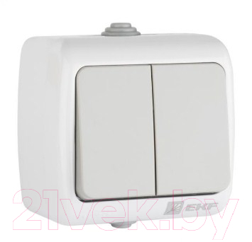 Выключатель EKF Мурманск 2кл 10А IP54 / EFV10-023-30-54 (серый)