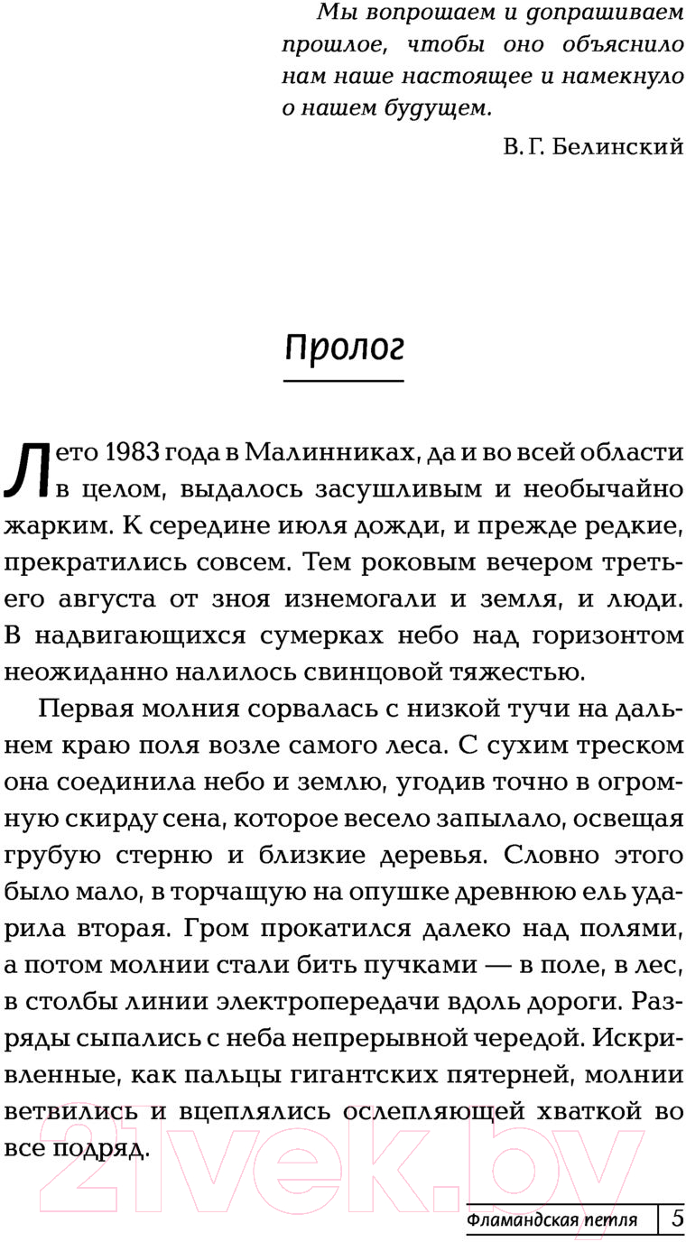 Художественная книга АСТ Фламандская петля (Ильина Н.Н.) — фото 4
