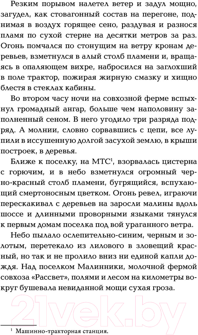 Художественная книга АСТ Фламандская петля (Ильина Н.Н.) — фото 5