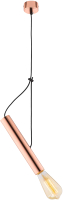 

Потолочный светильник Rilon Lighting, Technical Light 1044RG ROSE+GOLD