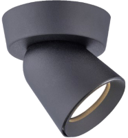 

Спот Rilon Lighting, Technical Light SL-50170-1R-GU-BK