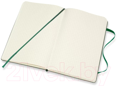 Записная книжка Moleskine Classic Large / 1127974 (120л, зеленый)