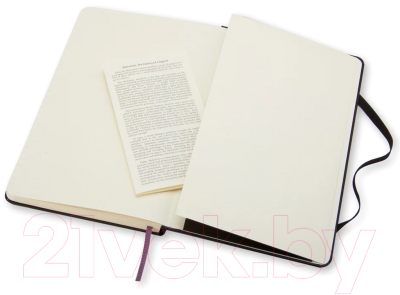 Записная книжка Moleskine Classic Large / 385070 (120л, черный)