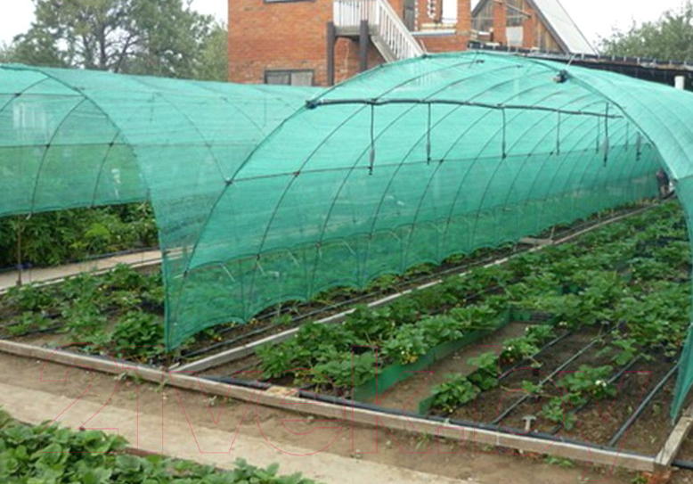 Защитная сетка для растений GreenTerra 55% затенения 4x6