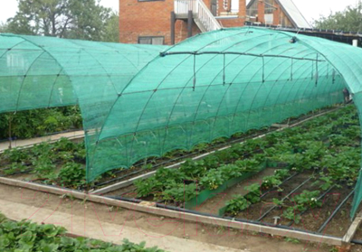 Защитная сетка для растений GreenTerra 55% затенения 4x6 (зеленый)