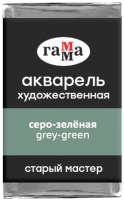 Акварельная краска ГАММА Старый Мастер 550 / 200521550 (серый/зеленый, кювета) - 
