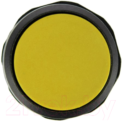 Кнопка для пульта Rexant EB22 / 36-5532 (возвратная, желтый)