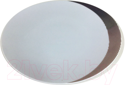Тарелка столовая обеденная Thun 1794 Loos Платиновые полоски / ЛОС0016 (24см)