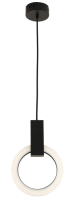 Потолочный светильник Kinklight Азалия 08430-20.19 (черный) - 