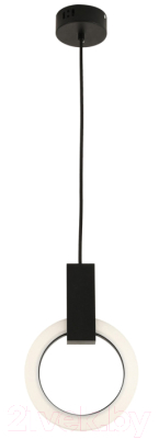 Потолочный светильник Kinklight Азалия 08430-20.19 (черный)