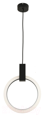 Потолочный светильник Kinklight Азалия 08430-30.19 (черный)