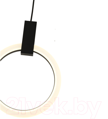 Потолочный светильник Kinklight Азалия 08430-30.19 (черный)