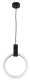 Потолочный светильник Kinklight Азалия 08430-30.19 (черный) - 