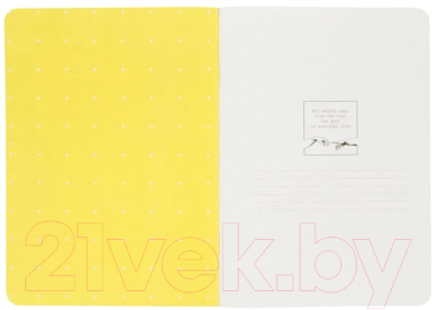 Изображение товара Тетрадь Be Smart Inspiration Давид / N2488 (48л, серый)