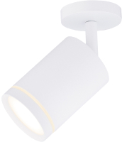 

Спот Rilon Lighting, Technical Light 302 SWT