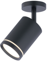 

Спот Rilon Lighting, Technical Light 302 SBK