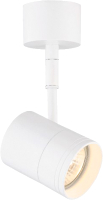 

Спот Rilon Lighting, Technical Light CL-5050/01-WH WH