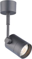 

Спот Rilon Lighting, Technical Light CL-5050/01-BK BK