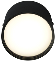 Потолочный светильник Kinklight Медина 05412.19 (черный) - 