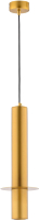 

Потолочный светильник Rilon Lighting, Technical Light 1055 GD+GD