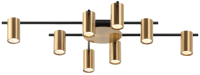 

Люстра Rilon Lighting, Technical Light 4898MXM/8 BK+BRO