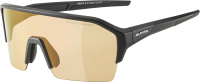 Очки солнцезащитные Alpina Sports 2022 2022 Ram Hr Q-Lite V Varioflex/ A8674231 (черный матовый/серебристый) - 