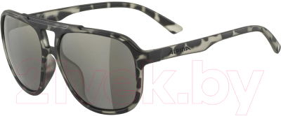 Очки солнцезащитные Alpina Sports 2022 Snazz Leo / A8684321 (серый матовый/черный)