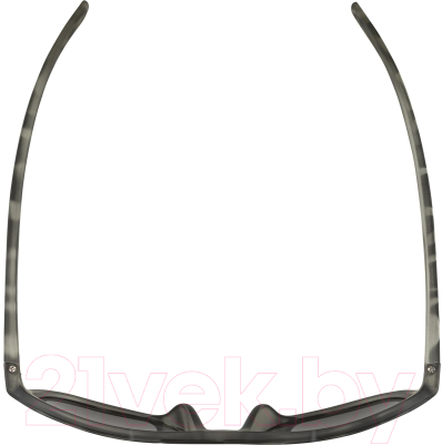Очки солнцезащитные Alpina Sports 2022 Snazz Leo / A8684321 (серый матовый/черный)