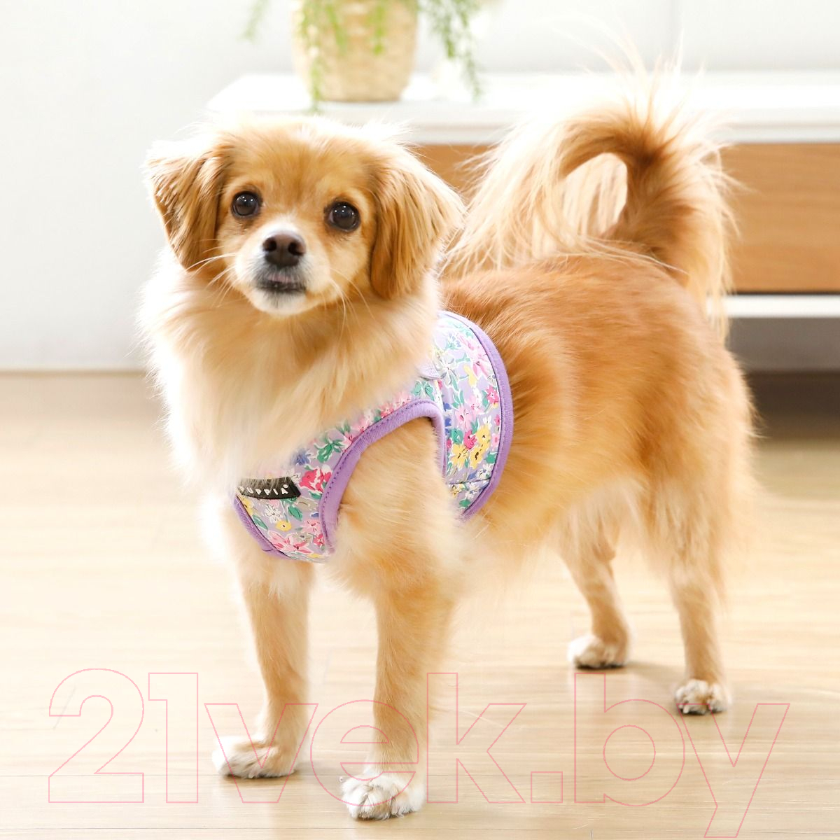Шлея-жилетка для животных Puppia Lita-B / PAWA-HB1959-PU-L (фиолетовый) — фото 4