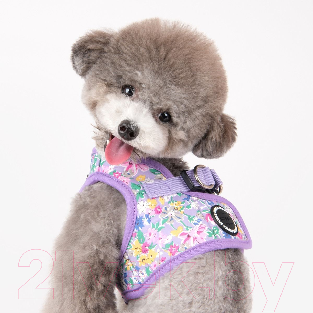 Шлея-жилетка для животных Puppia Lita-B / PAWA-HB1959-PU-M (фиолетовый) — фото 5
