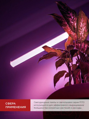 Лампа для растений INhome LED-T8-FITO / 4690612033761