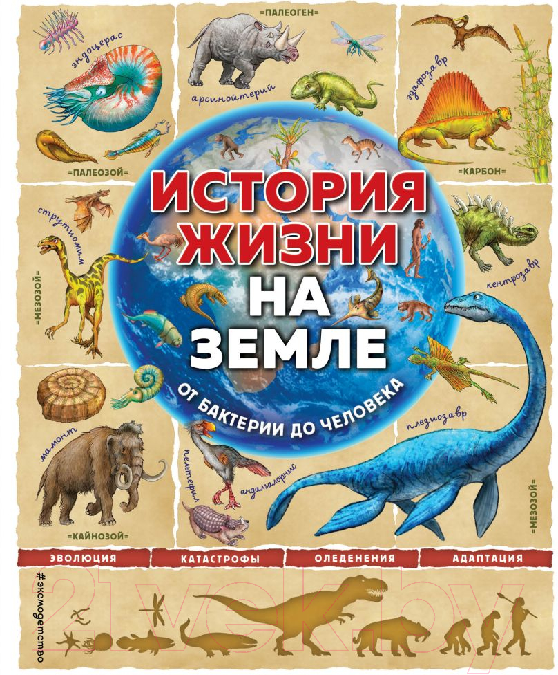 Энциклопедия Эксмо История жизни на Земле. От бактерии до человека (Ло Ф., Бэйли Д.)