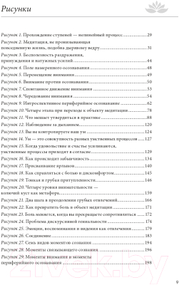 Книга Эксмо Свет ума. Подробный путеводитель по медитации (Куладаса Д.)