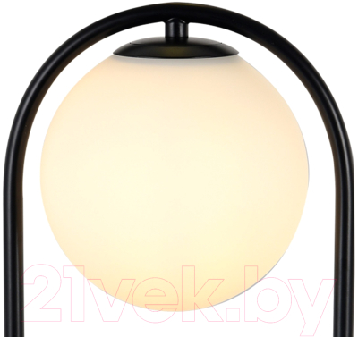 Прикроватная лампа Kinklight Кенти 07631-8.19 (черный)