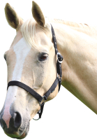 

Недоуздок для лошади Shires, Wessex Full / 363/BLACK/FULL