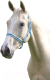 Недоуздок для лошади Shires Wessex Pony / 363/CAM/NVY/PONY (голубой/синий) - 