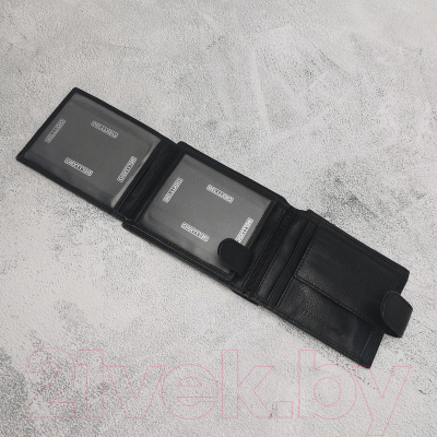 Изображение товара Портмоне Bellugio EM-111R-032