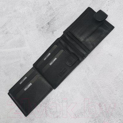 Изображение товара Портмоне Bellugio EM-111R-032
