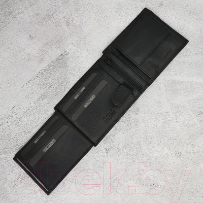 Изображение товара Портмоне Bellugio EM-111R-033