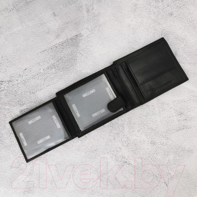 Изображение товара Портмоне Bellugio EM-111R-033