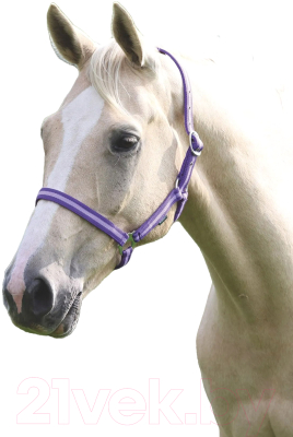 Недоуздок для лошади Shires Wessex Pony / 363/PUR/LIL/PONY (фиолетовый/лиловый)