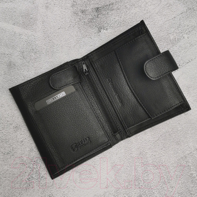 Изображение товара Портмоне Bellugio EM-111R-123A