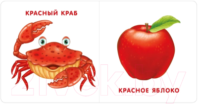 Изображение товара Развивающая книга Робинс Книжки-картонки. Мои первые цвета