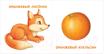 Изображение товара Развивающая книга Робинс Книжки-картонки. Мои первые цвета