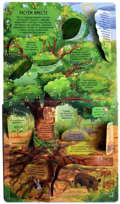 Развивающая книга Робинс Секреты леса