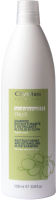Шампунь для волос Oyster Cosmetics Sublime Fruit Restructuring and Detangling Olive (1л) - 